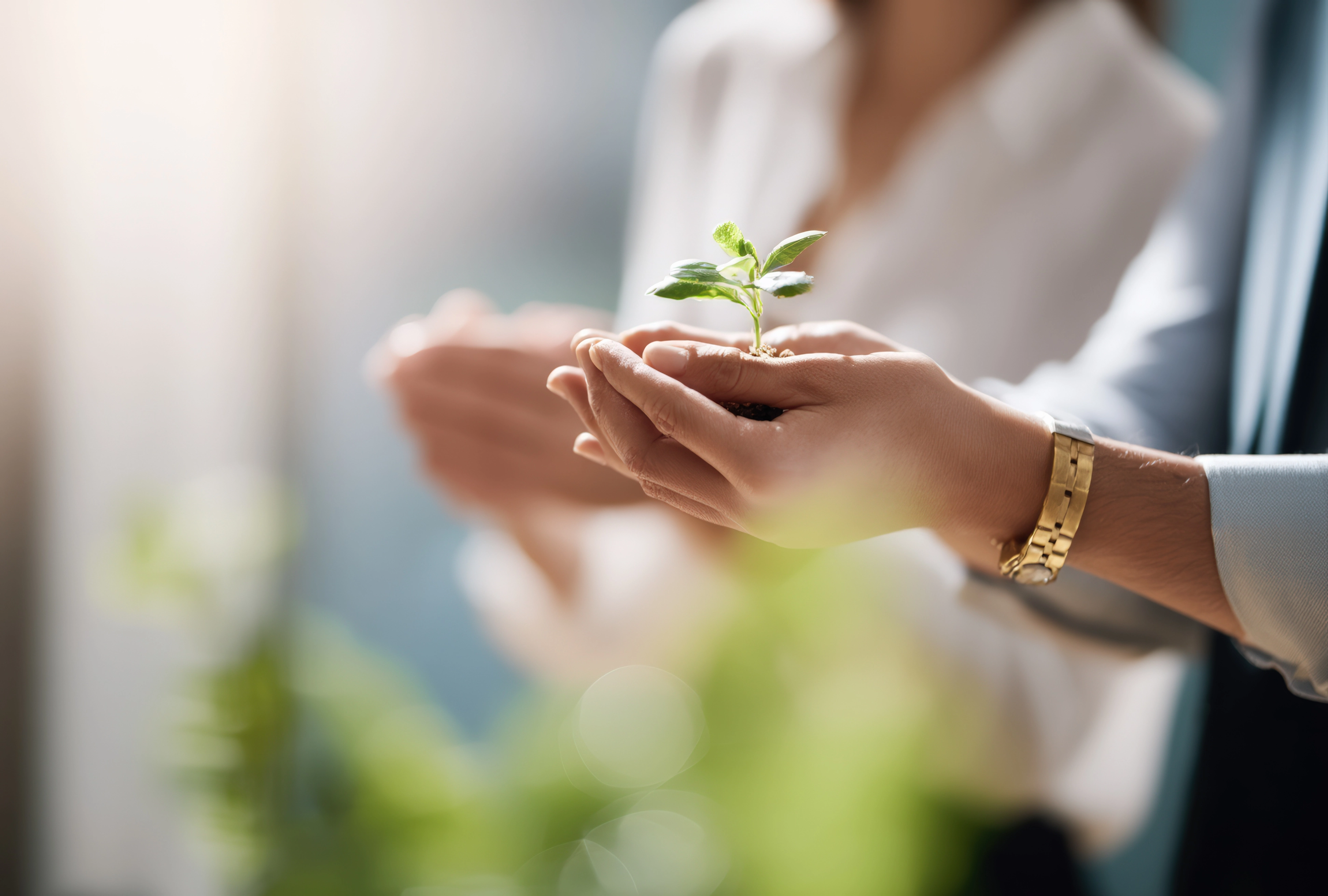 Reduce your print campaign’s Carbon 3